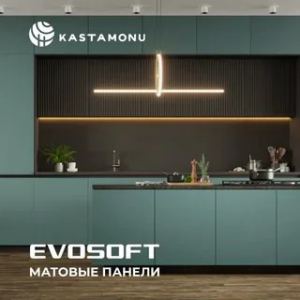 Evosoft